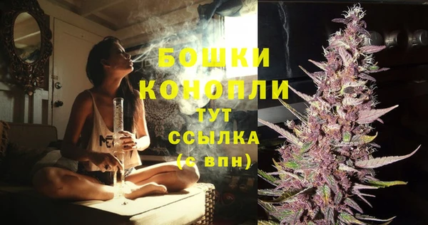экстази Вяземский