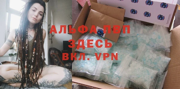 ГАЛЛЮЦИНОГЕННЫЕ ГРИБЫ Вязники
