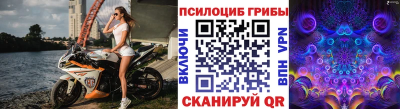 где купить наркоту  Мантурово  Псилоцибиновые грибы Psilocybe 
